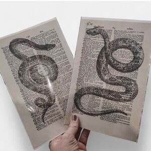 Snake Print Art Set Vintage Dictionary Page Decor Cobra Serpent Halloween
